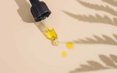 The Growing CBD Industry in Europe