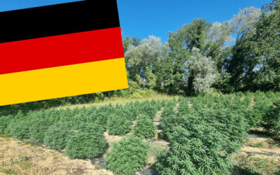 Growing Hemp/Cannabis in Germany